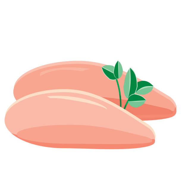 정육점 닭 가슴살 아이콘 에 흰색 배경 - butchers shop butcher meat delicatessen stock illustrations