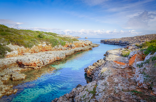 Small bay Playa Cala Estreta near by Portocolom with Asteriscus aquaticus flower on the Spanish Balearic island of Majorca - Spain