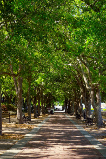 parque à beira-mar ao lado do porto em charleston carolina do sul - charleston harbor - fotografias e filmes do acervo