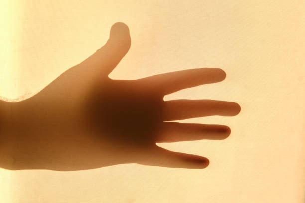 istock Shadow of a man hand shows a gesture with five fingers, silhouette 1319276457
