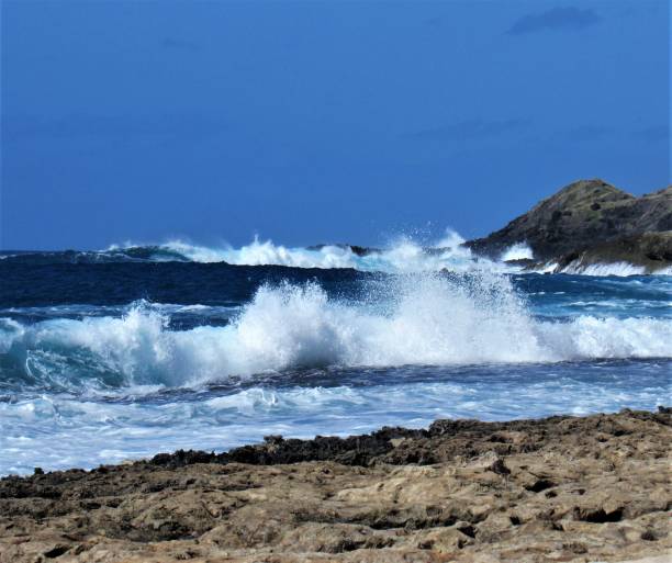 istock Waves rolling onto the West shore of Oahu 1319279899