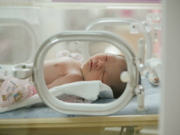 Newborn baby sleeping. Asian female newborn baby lying in bed and sunlight in the morning. maternity ward stock pictures, royalty-free photos & images