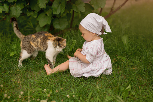 A barefoot child plays with a cat in the village near a grape bush A dirty dirty little girl in a kerchief sits on the grass.