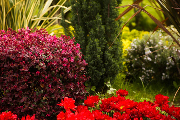 istock Lush flower beds in the summer garden 1319287391
