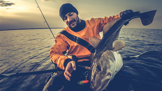 Kayak fishing in the in Øresund - the clean water by \nthe capital city Copenhagen, Denmark.  Male fisher caught a big fish. This one is a Cod, one of the most popular fish for human consumption
