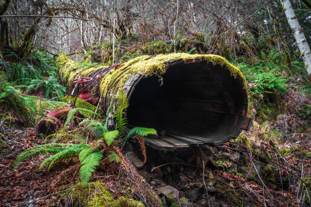 istock Sooke Foothills Pipeline 1319295043