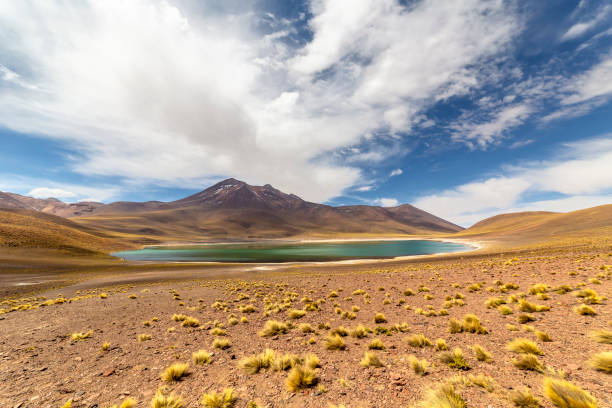 istock Miniques Lagoon in the Atacama Desert, Chile 1319299358