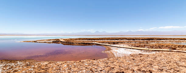 istock Tebinquinche lagoon, Salar de Atacama, Chile 1319299368