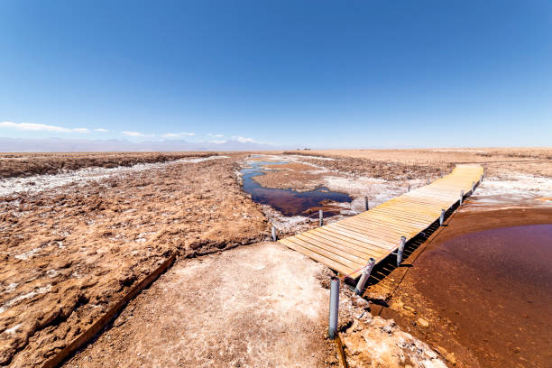 istock Tebinquinche lagoon, Salar de Atacama, Chile 1319299406