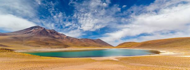 istock Miniques Lagoon in the Atacama Desert, Chile 1319299534