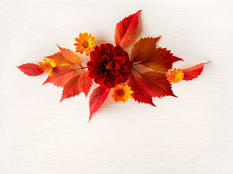 The concept of autumn. Composition of red autumn leaves and flowers on a white, aged background. Thanksgiving day. copy space. flat layer