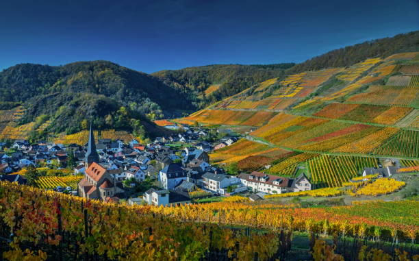 메이스코스의 포도원 아흐밸리 - non urban scene landscaped clear sky germany 뉴��스 사진 이미지