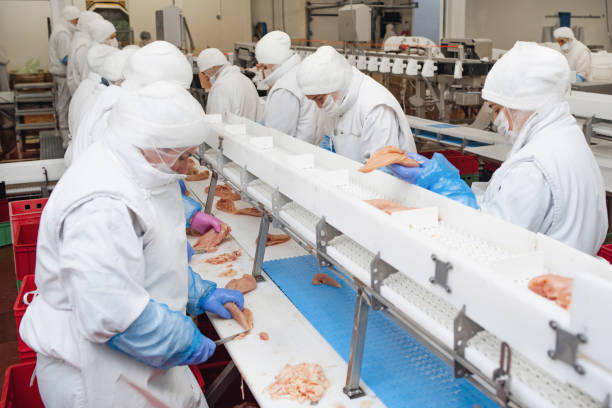 mise au point douce. usine pour la production de nourriture à partir de viande. équipement industriel dans une usine de viande. ligne de production automatisée dans l’usine alimentaire moderne. - usine agro alimentaire photos et images de collection