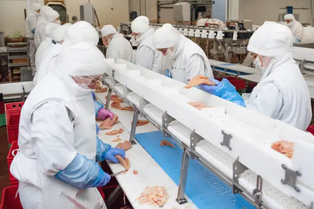 Soft focus. Automated production line in modern food factory.Factory for the production of food from meat.Industrial equipment at a meat factory.