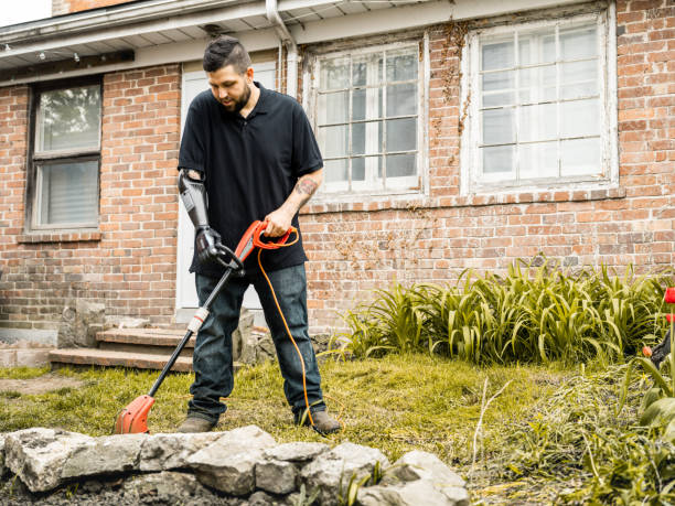 istock Amputee urban gardener 1319309529
