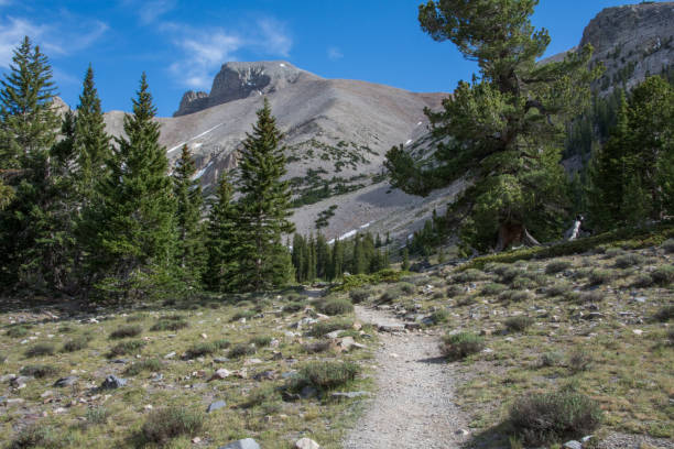 istock Wheeler Peak in Great Basin National Park 1319310990