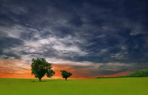 Nature,Sunset,Clouds,Sky,Trees