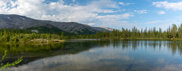 istock Panorama of a mountain lake surrounded by a spruce forest 1319314304