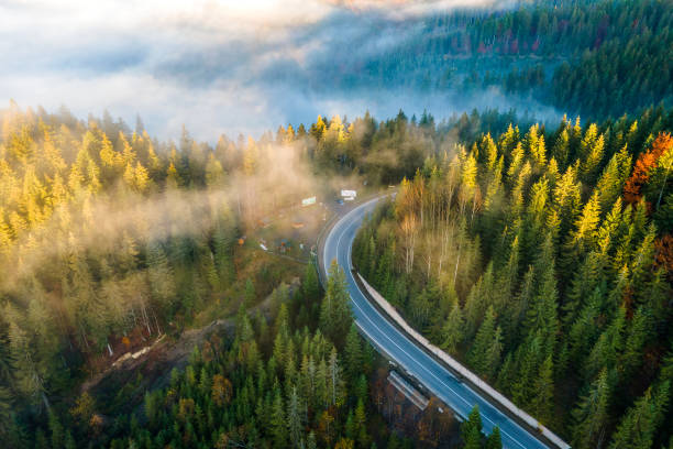 istock Aerial view og curvy road between evergreen forest with green pine trees in summer mountains. 1319314467