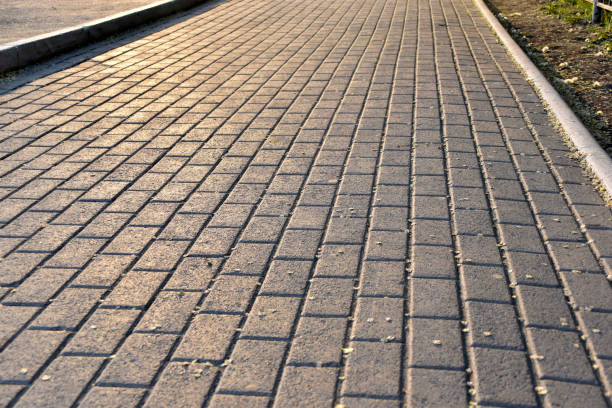 istock Paved path and iron fence during the day in the city 1319314601