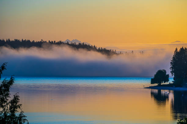 istock Foggy Dawn In The Pacific Northwest 1319325035