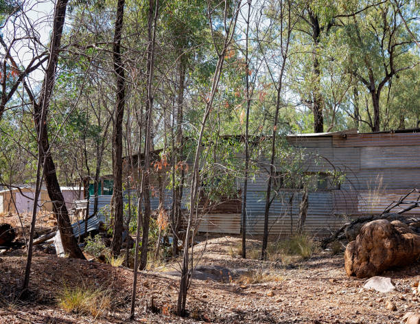 istock Bush Shanty Lifestyle 1319326341