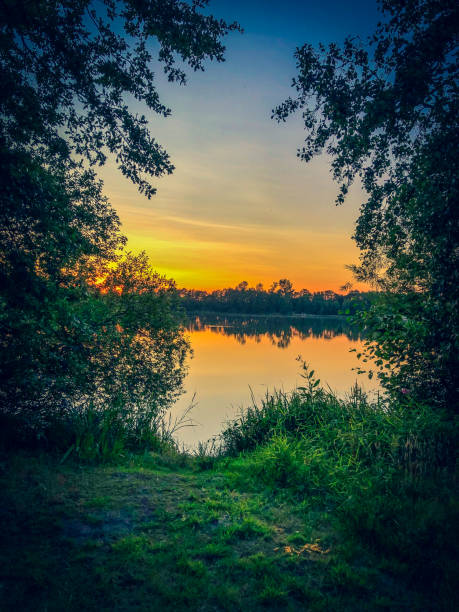 istock A view through the trees on a lake in the setting sun in summer in Germany. 1319328428