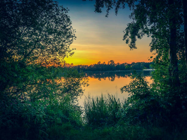 istock A view through the trees on a lake in the setting sun in summer in Germany. 1319328564