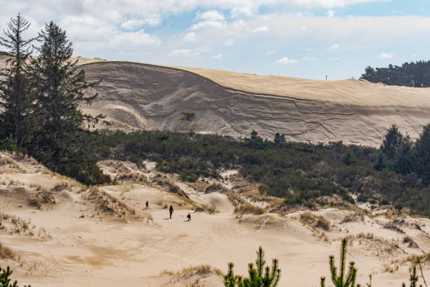 istock Sunny Day Overlooking the Pacific Ocean in Oregon Dunes 1319331866