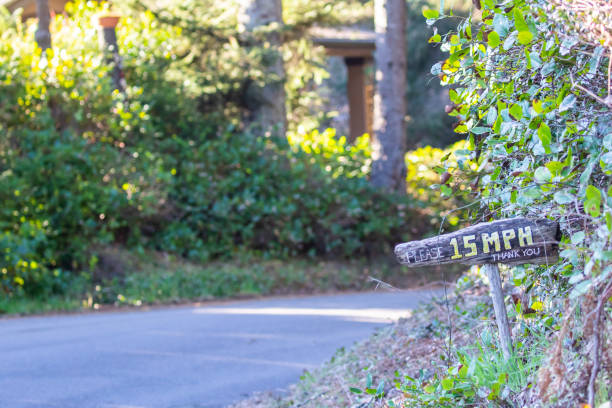 istock Kinder Gentler Rustic Speed Limit Sign on Coastal Oregon Community Road 1319331892
