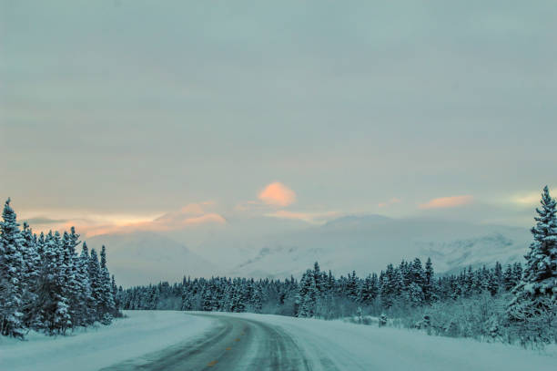 istock Winter Roads - Alaska 1319335701