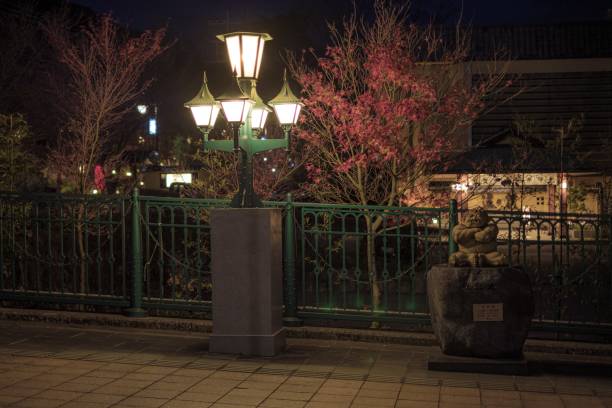 vue de nuit du spa de kinugawa dans la préfecture de tochigi, japon - nikko asia japan natural landmark photos et images de collection