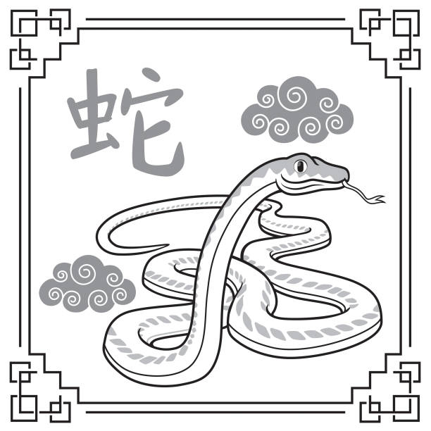 ilustrações de stock, clip art, desenhos animados e ícones de vector illustration year of the snake, the 12 chinese horoscope animals isolated on white background. chinese calendar or chinese zodiac sign concept. cartoon characters. education and school kids coloring page, printable, activity, worksheet, flashcard. - snake chinese new year chinese zodiac sign china