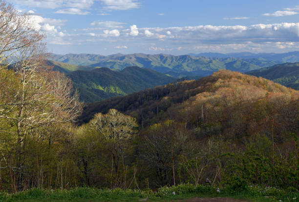 smoky mountains, north carolina, usa - tennessee great smoky mountains great smoky mountains national park north carolina imagens e fotografias de stock