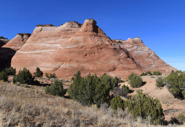 istock Mountain in Utah, United States 1319346170