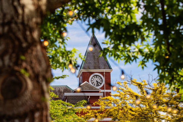 Duncan in the Spring Duncan City Hall steeple rises above the trees duncan british columbia stock pictures, royalty-free photos & images