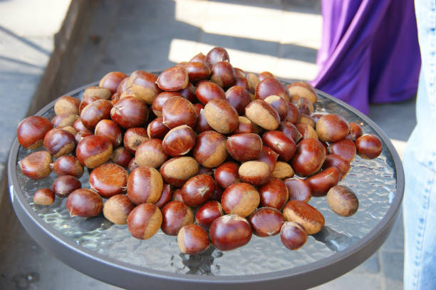 istock autumn chestnuts. raw chestnuts chestnuts on a glass table 1319353080