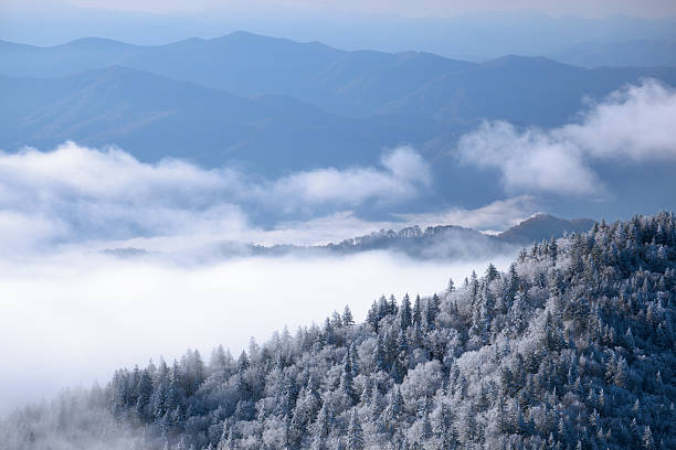 paisaje de invierno en las grandes montañas humeantes - great smoky mountains fotografías e imágenes de stock