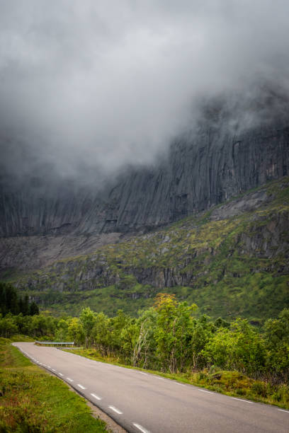 istock Road of Lofoten Islands 1319355563