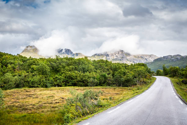 istock Road of Lofoten Islands 1319355564
