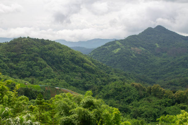 istock A beautiful mountain landscape with forest-covered peaks and cloudy skies. 1319356996