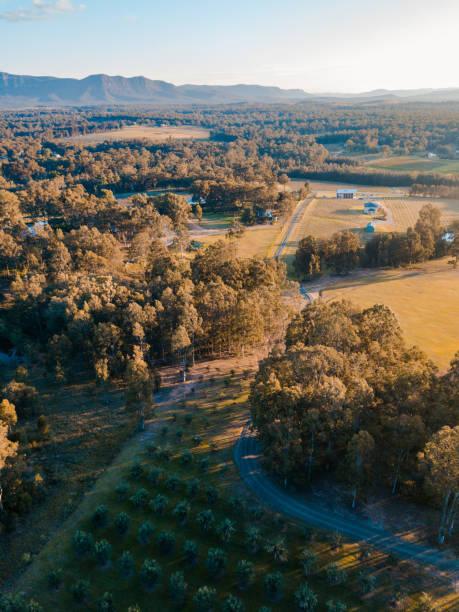 istock Aerial view of Hunter Valley 1319360378