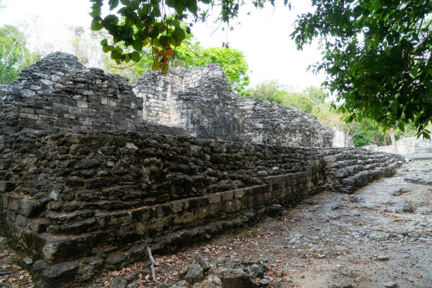 istock Xpujil Maya Ruin in Campeche, Mexico 1319363415