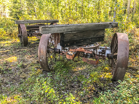 An old carriage sits in the woods as a reminder of days gone by.