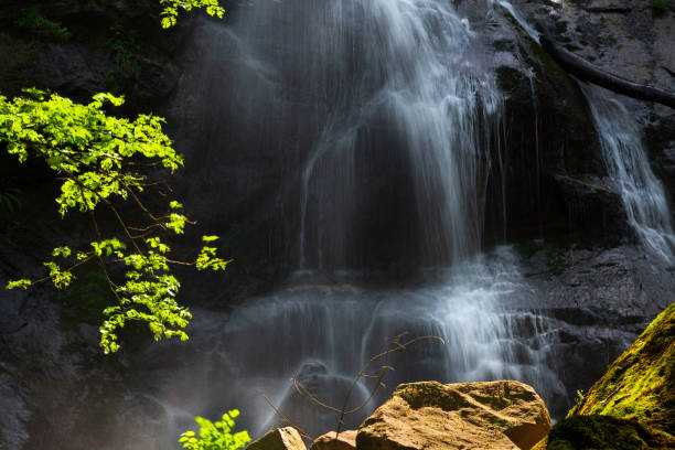 istock Beautiful waterfall in the jungle 1319367468