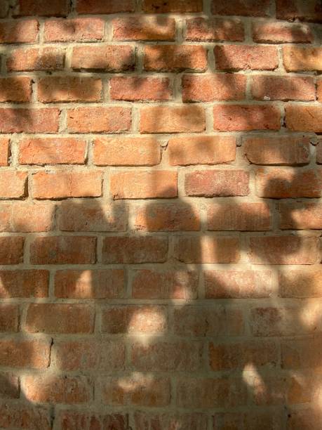 istock Full frame shot of brick wall 1319368837