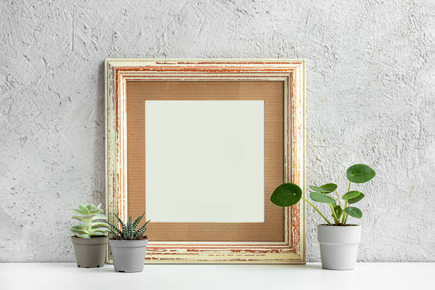 istock Home plants and a photo frame 1319378556