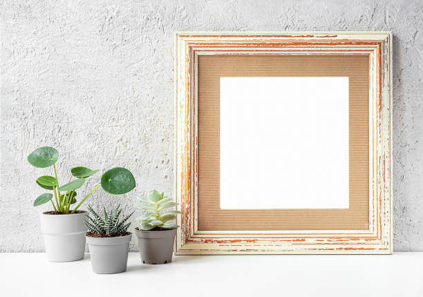 istock Photo frame and home plants 1319378616
