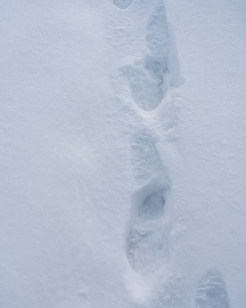 istock Top view hot footsteps on cold snow. 1319379111
