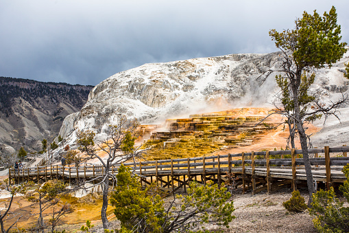 Geysers and Hot Springs at Yellowstone